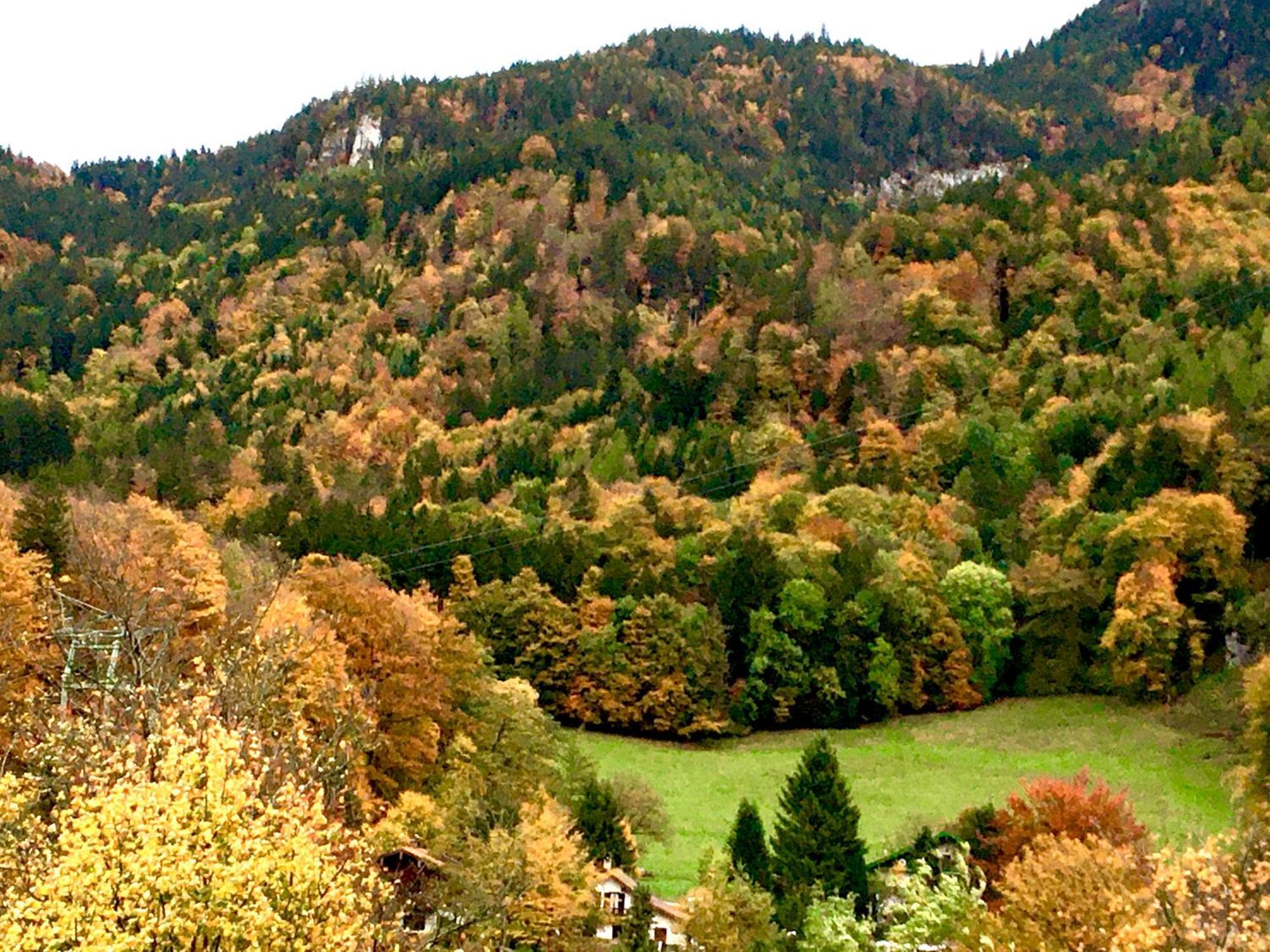 Appartment Schloss-Zeit Aschau im Chiemgau Room photo